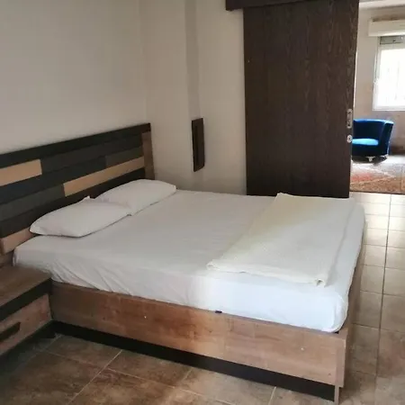 Safari , 3*